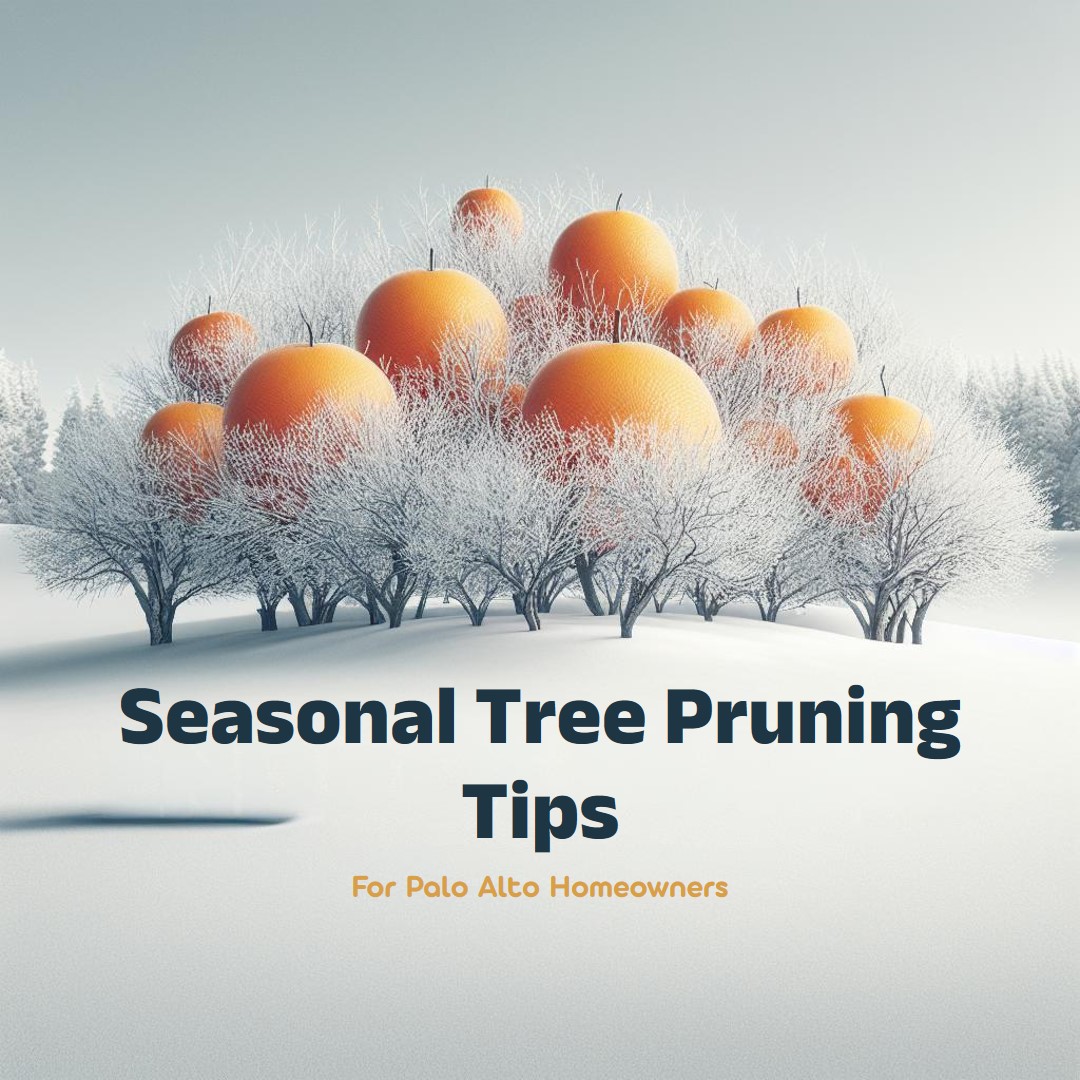 4 Seasonal Tree Pruning Tips for Palo Alto Homeowners