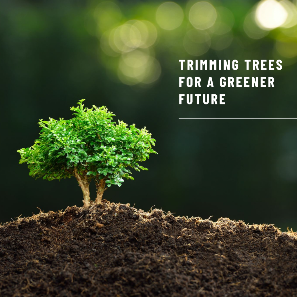 Trimming Trees for a Greener Future