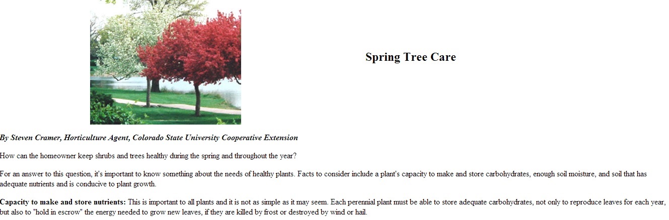 Spring-Tree-Care
