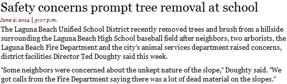safety-concerns-prompt-tree-removal-at-school