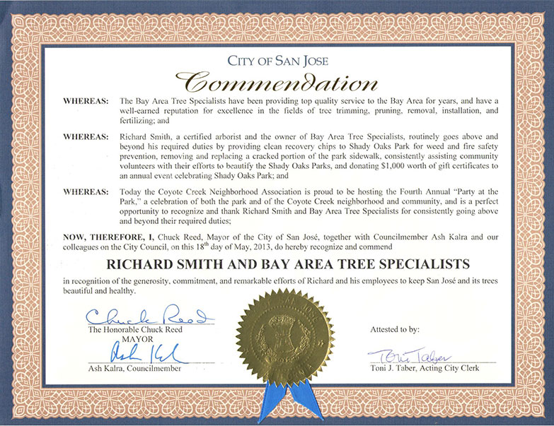 trained-certified-arborist-in-palo-alto-bay-area-tree-specialists