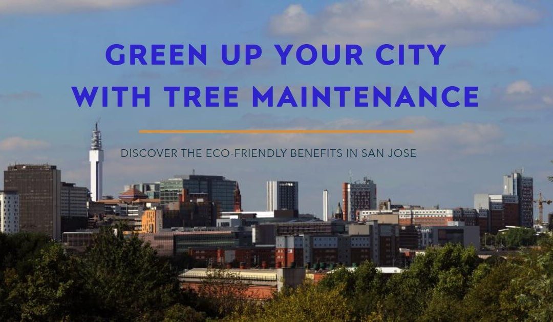 Benefits of Tree Maintenance in San Jose