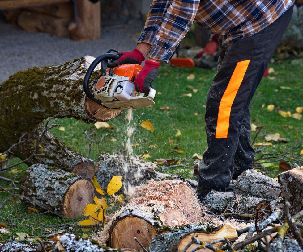 arborist-man-cutting-a-branches-with-chainsaw