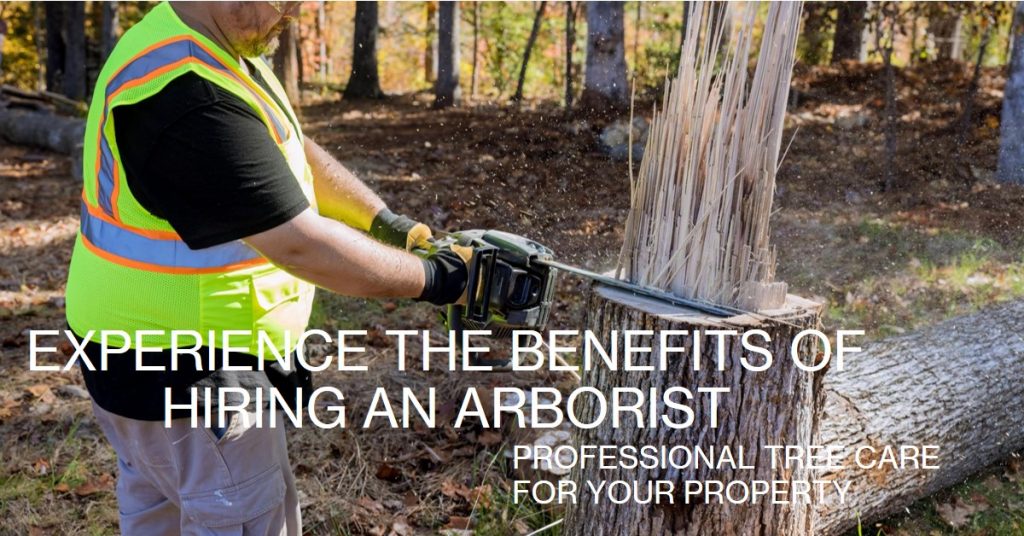 Benefits-of-Hiring-An- Arborist?
