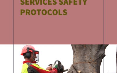 Modern Tree Services: Emphasizing Safety and Efficiency