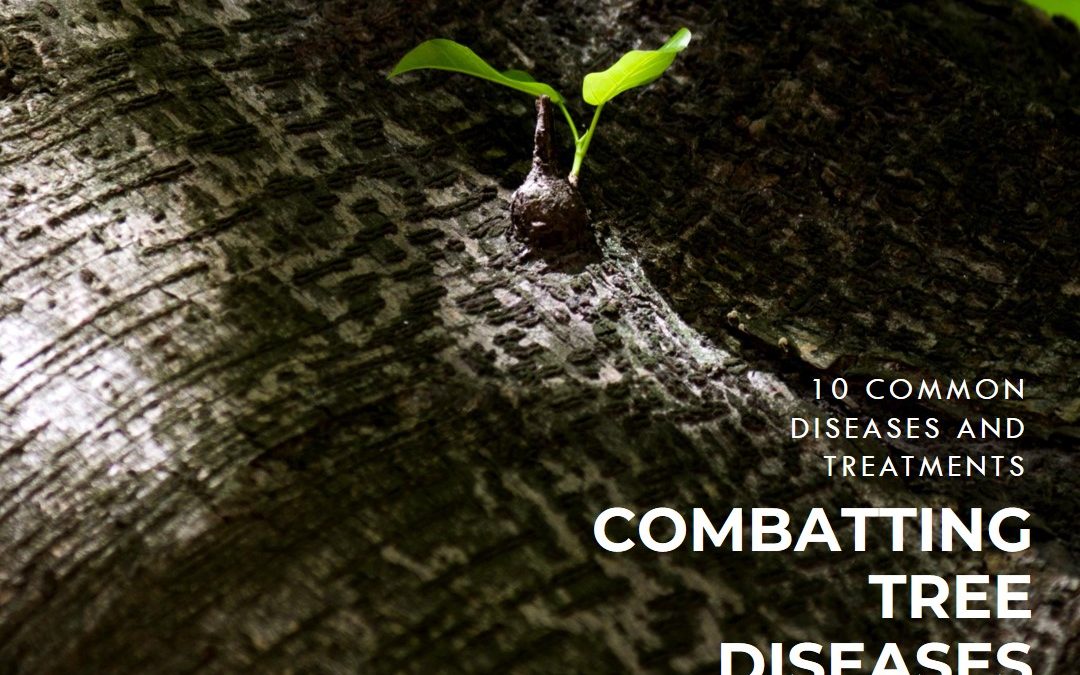 10 Common Tree Diseases