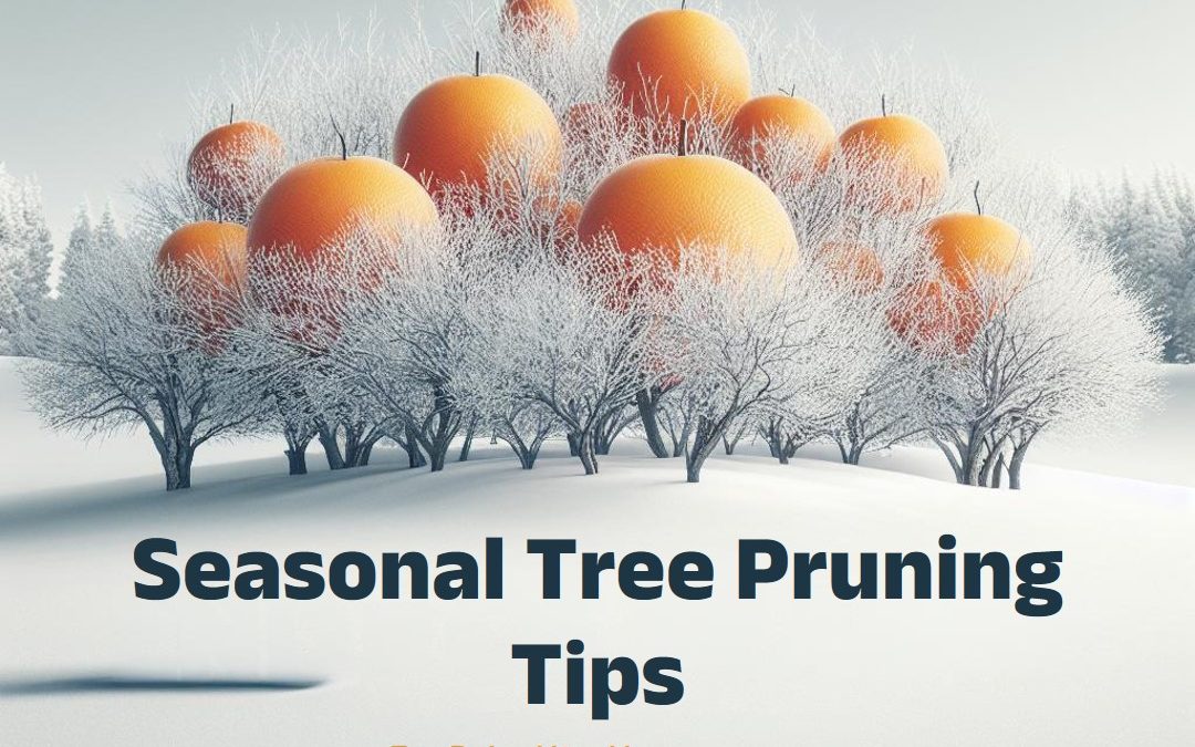 4-Seasonal-Tree-Pruning-Tips