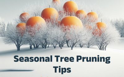 4 Seasonal Tree Pruning Tips for Palo Alto Homeowners
