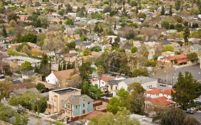 Rethinking Tree Care in San Jose