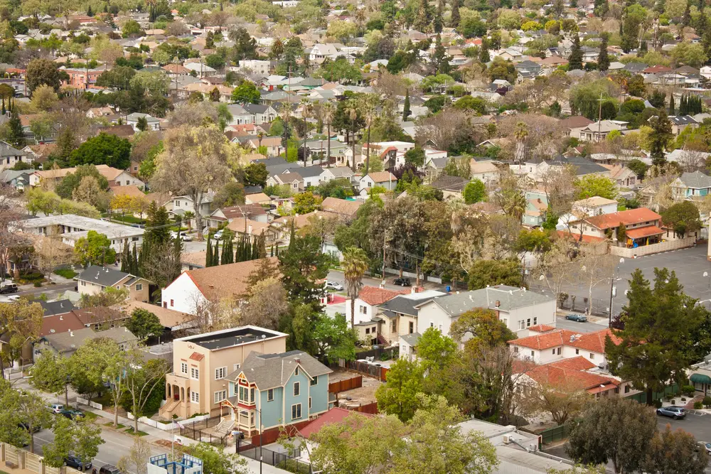 san-jose-ca-tree-care-points
