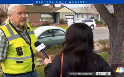 Watch ISA Certified Arborist Larry Van Groningen on the NBC Bay Area News