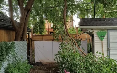 Love Thy Neighbors Tree