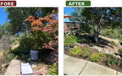 Fire Season Starts Before Summer