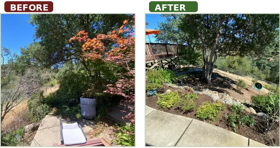 before-after-fire-mitigation-tree-brush-vegetation-service