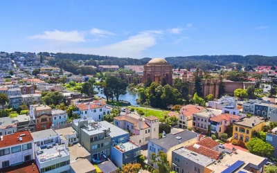 The 3 Most Booked Tree Services in the Bay Area