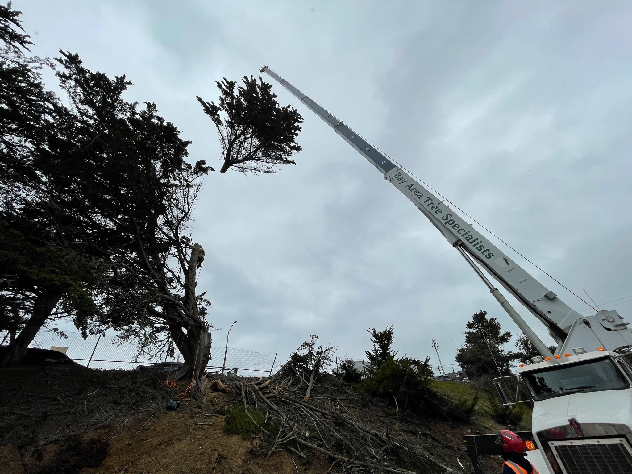 Bay Area Tree Specialists Tree Removal Equipment - San Jose CA